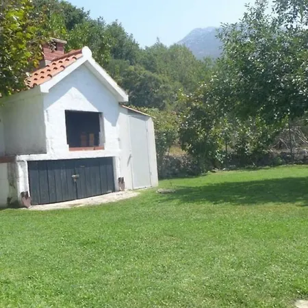 House Klis