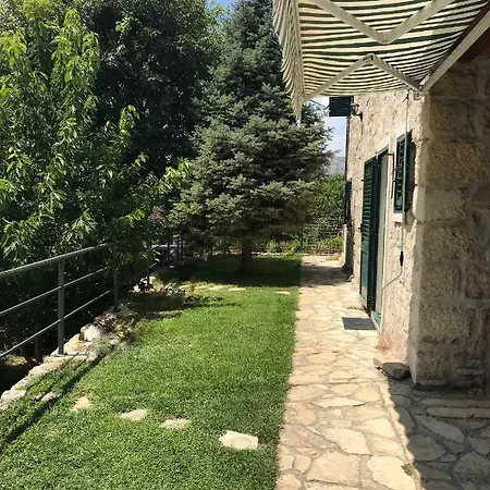 Villa House *